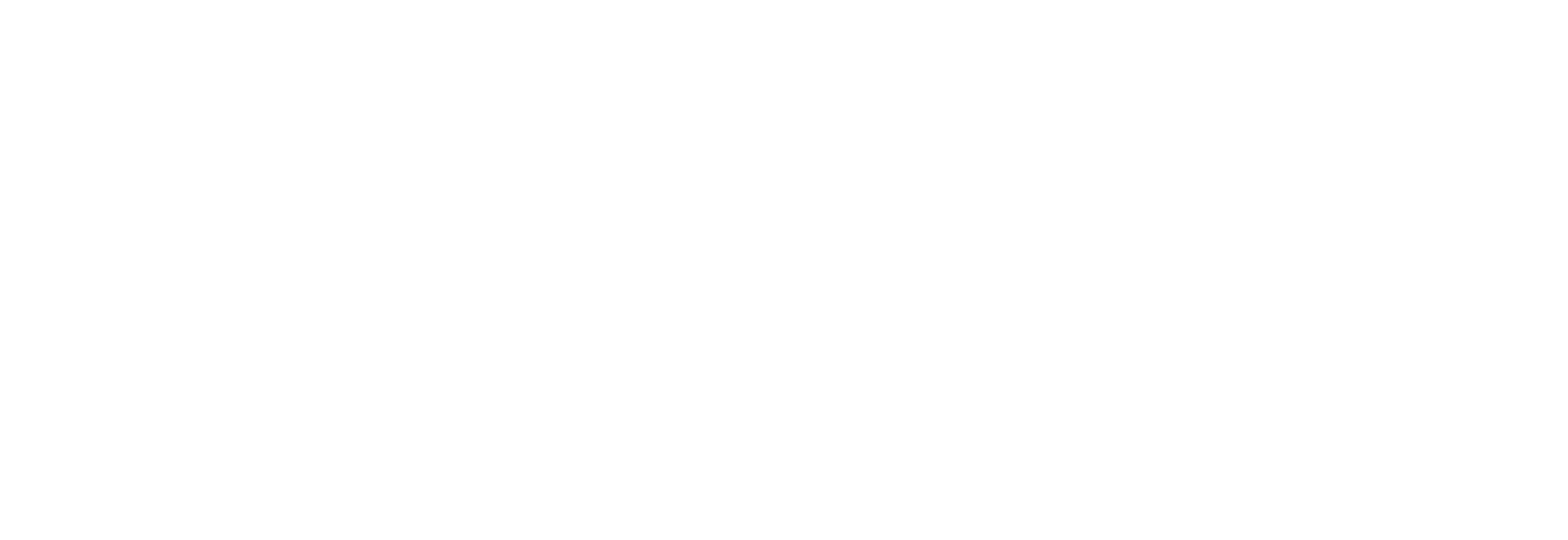 Zoom Logistics SER